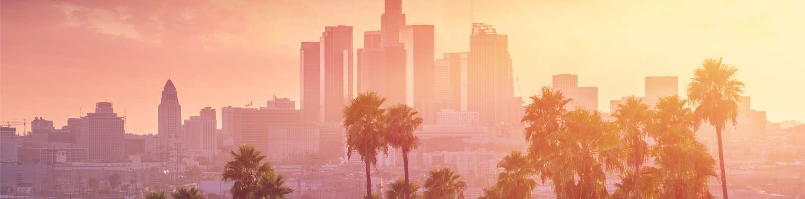 California Legal Solutions