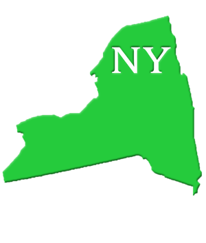 NY State Image